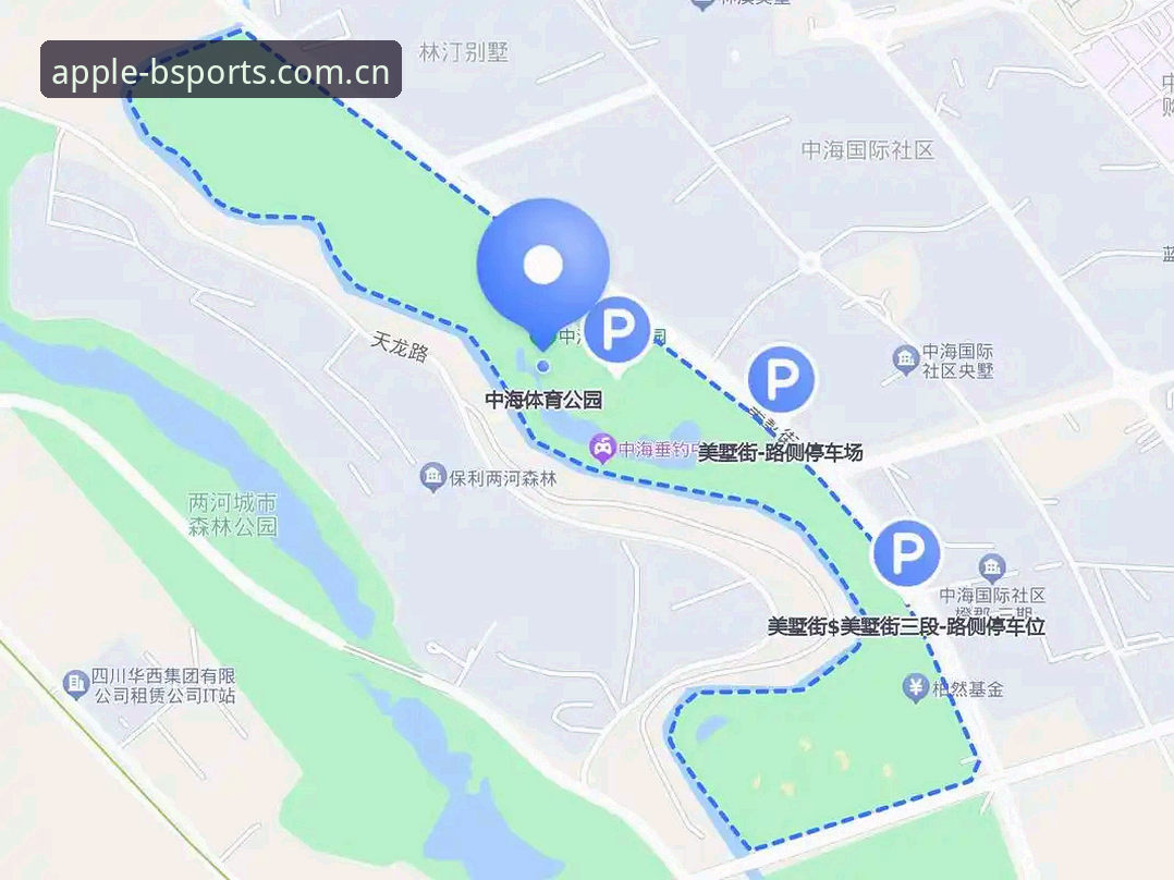 b体育会员服务攻略 b体育苹果版会员服务攻略:从入门到精通完整指南